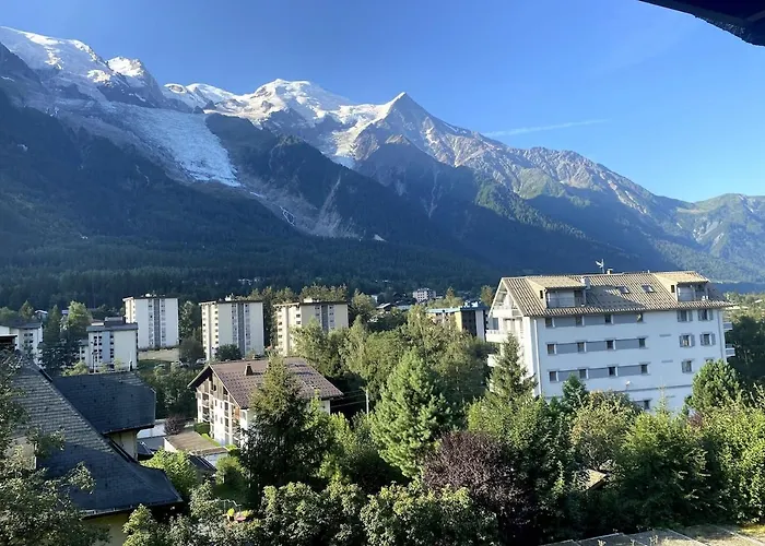 Апартаменты Charmant Studio Chamonix Шамони